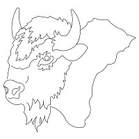 buffalo head